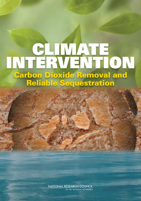 NAS Report: Intervention - Carbon Sequestration