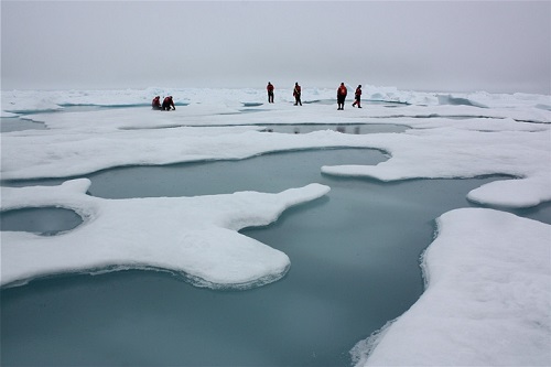 Arctic sea ice and melt ponds in the Chukchi Sea