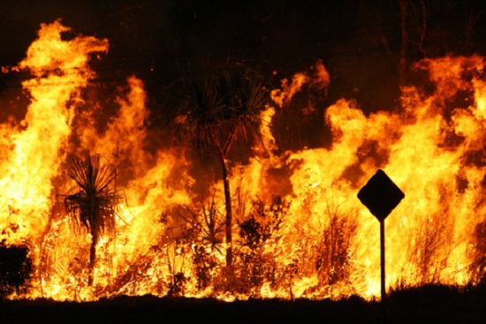 Australia Bushfire - Shutterstock