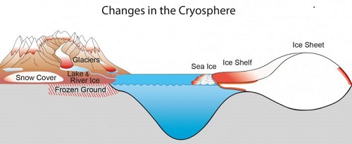 Changes in the Cryosphere