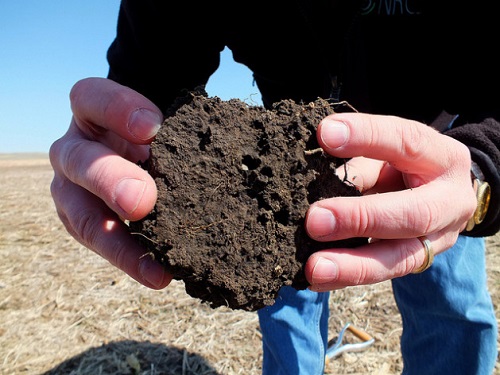 Photo of healthy dark soil