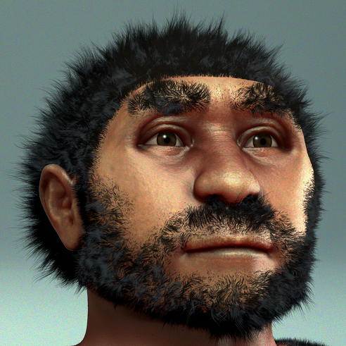 Homo erectus (Peking Man)