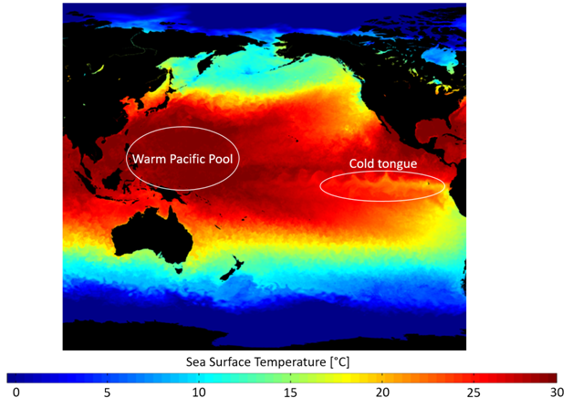 A large pool of warm water in western Pacific
