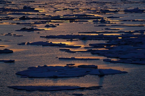 Arctic Sea Ice Victoria Strait Summer 2017