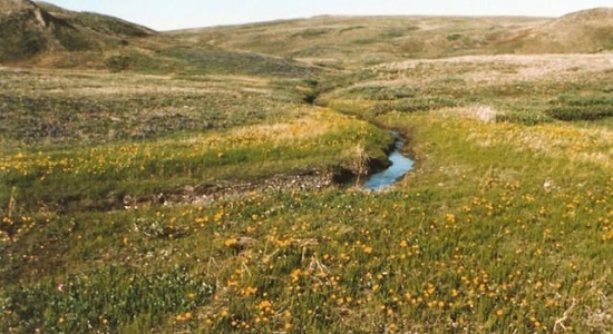 Tundra Yukon 1987