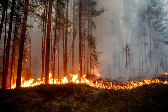 Arctic Circle Wildfires in Sweden 2018