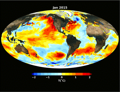 Sea surface temperature patterns of the 2015 El Niño