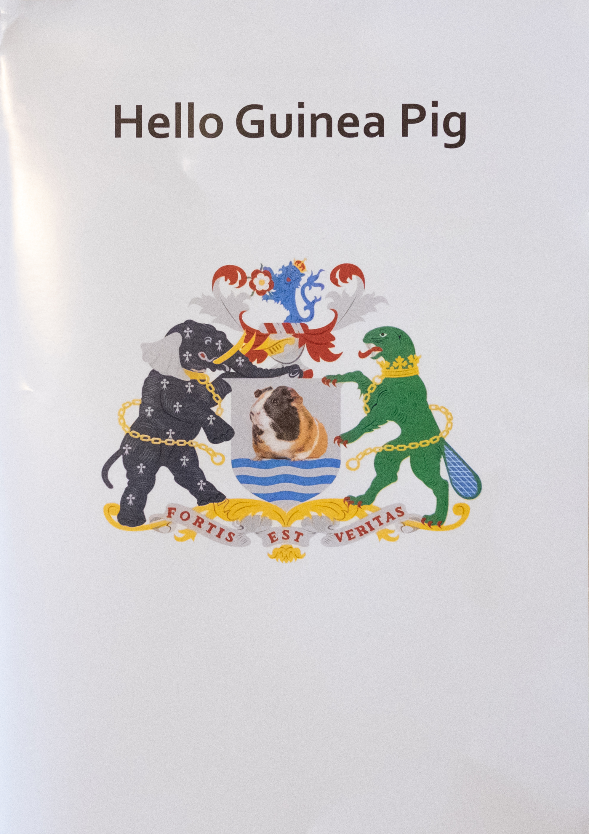 Oxford City Crest w/ Guinea Pig