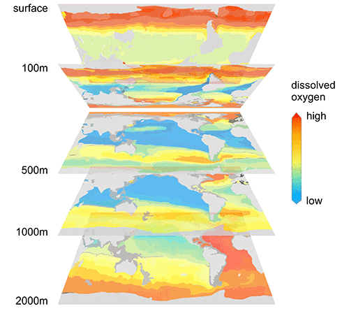 Dissolved oxygen in depth slices through our oceans