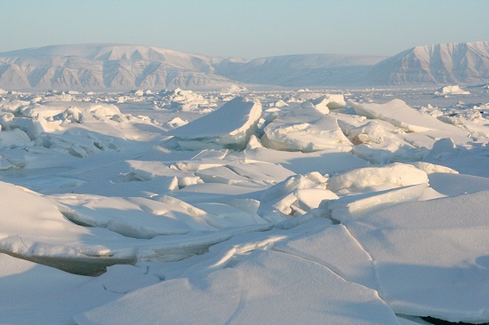 Arctic Sea Ice NSIDC