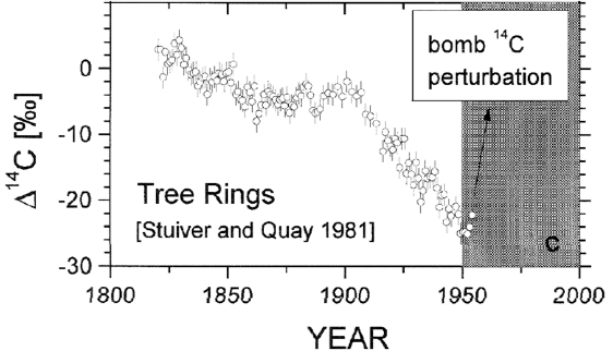 Tree Ring CO2 Signatures
