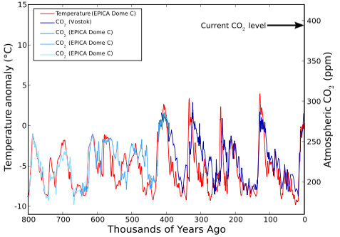 CO2-Temperature Long-Term Record