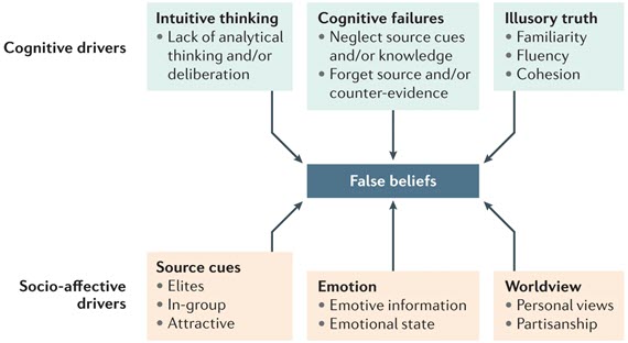 Drivers of false beliefs