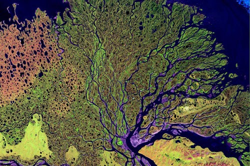 Aerial photo of Lena River delta