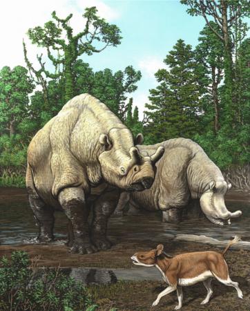 Painting of Rhino-like animals in North America