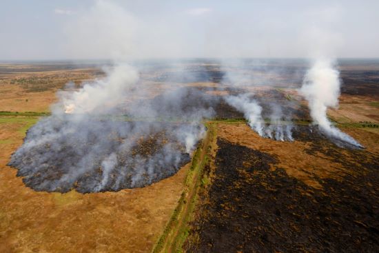 Smoke rises from a peatland during fires near Banjarmasin Indonesia