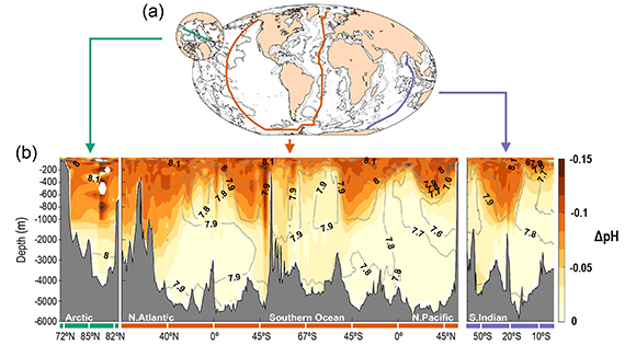 Spread of ocean acidification from the surface into the depths