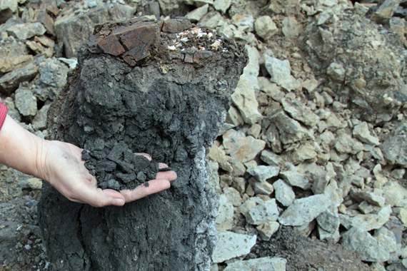 Masses of coal caught up in basalt.
