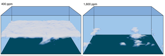Results of modelling of marine stratocumulus behaviour.