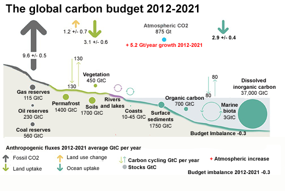 Global carbon budget