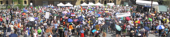 4000 people crowd King George Square to support climate action