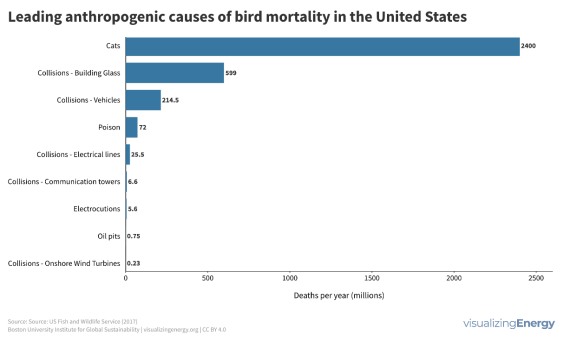 Causes of bird deaths in the US