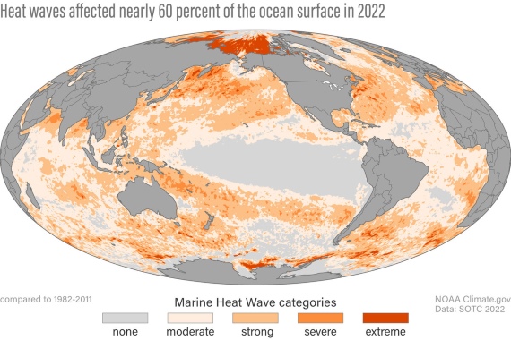Distribution of marine heatwave conditions